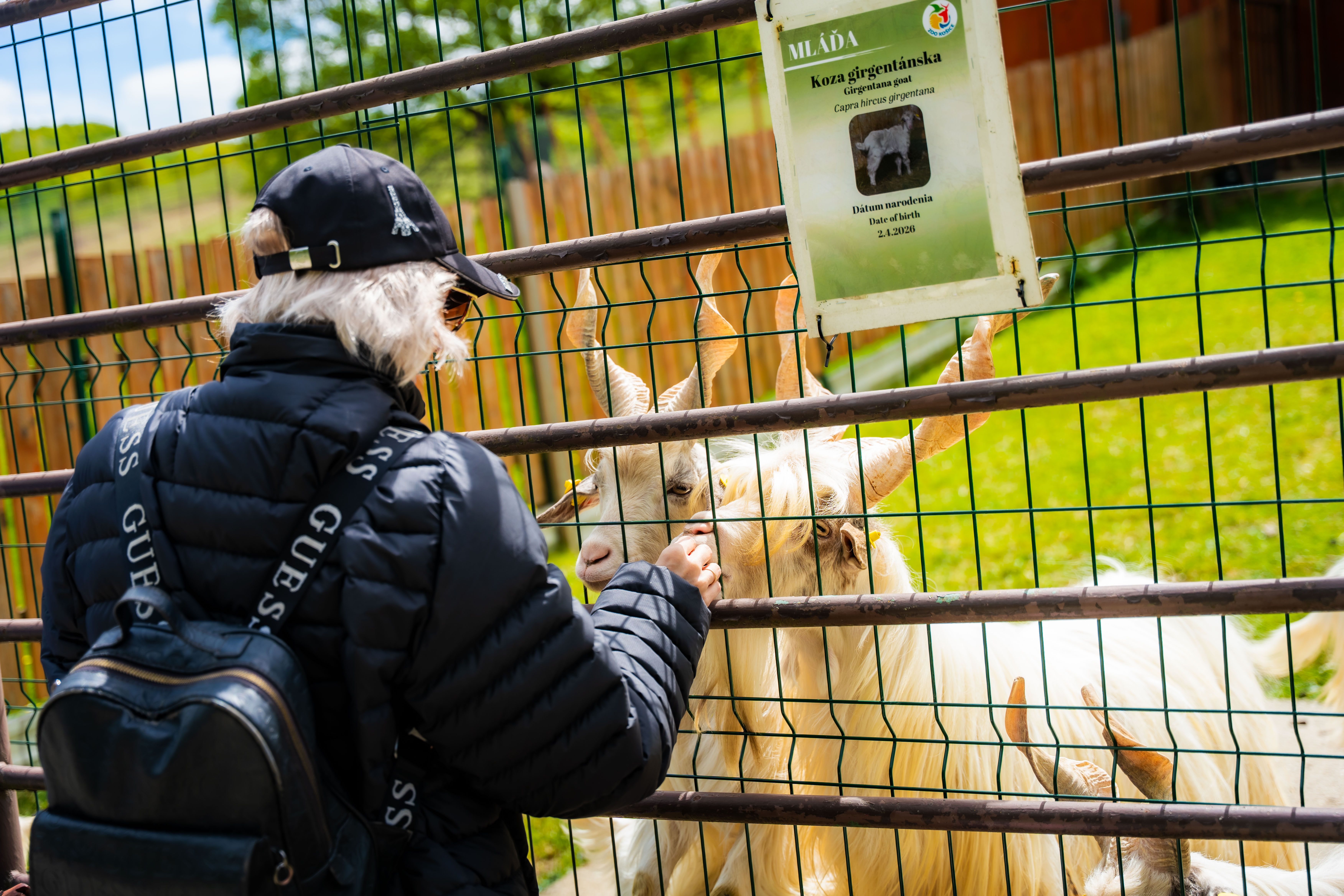Slavnostne odomykanie vrany ZOO Kosice-1-77